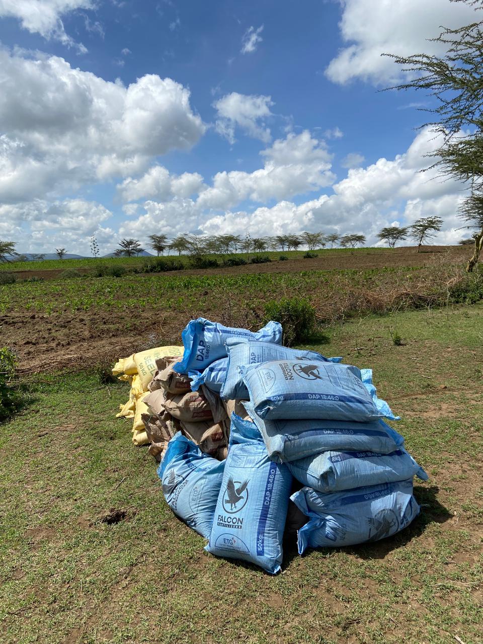 Seed and fertilizer bags stacked beside open farmland under a cloudy sky.